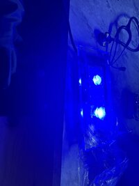 IMG_8783.jpeg