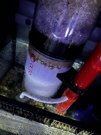 IMG_5877.jpeg