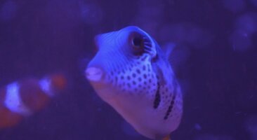 IMG_0925.jpeg