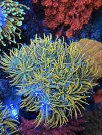 IMG_5912.jpeg