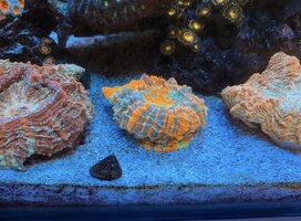 IMG_5913.jpeg
