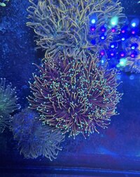 IMG_5935.jpeg