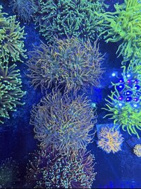 IMG_5933.jpeg