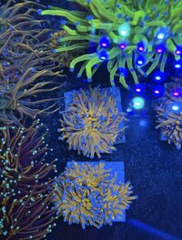 IMG_5916.jpeg
