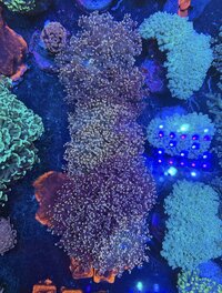 IMG_5917.jpeg
