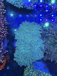 IMG_5919.jpeg