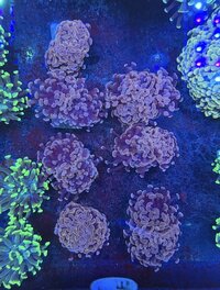 IMG_5923.jpeg