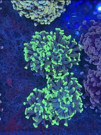 IMG_5924.jpeg