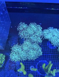 IMG_5929.jpeg