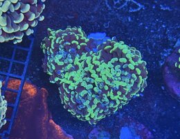 IMG_5930.jpeg