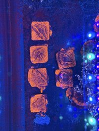 IMG_5932.jpeg