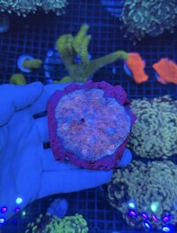 IMG_5936.jpeg