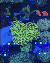 IMG_5943.jpeg