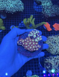 IMG_5951.jpeg