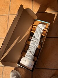 IMG_9567.jpeg