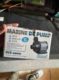 IMG_9574.jpeg