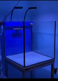 Marine tank and equipment