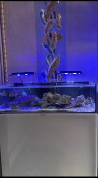 IMG_2328.jpeg