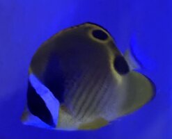 IMG_8230.jpeg