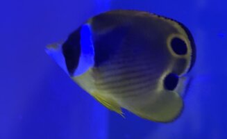 IMG_8229.jpeg