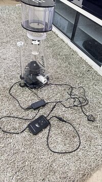 IMG_9024.jpeg