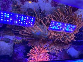 IMG_0510.jpeg