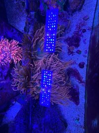 IMG_0507.jpeg