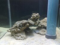 16022013313.jpg