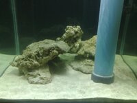 16022013322.jpg