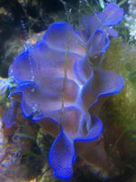 IMG_1107.jpg