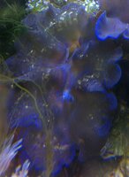 IMG_1108.jpg