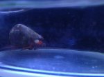 IMG-20130817-WA0014.jpg