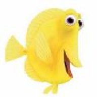 CrazyTang
