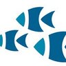 Marine Management A
