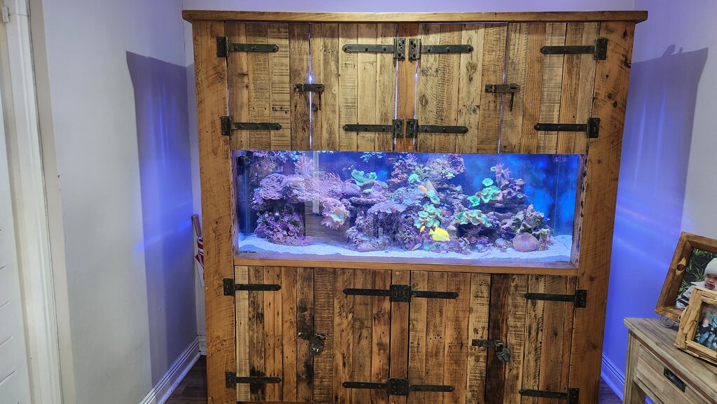 Complete Setup 6ft Tank With Solid Wood