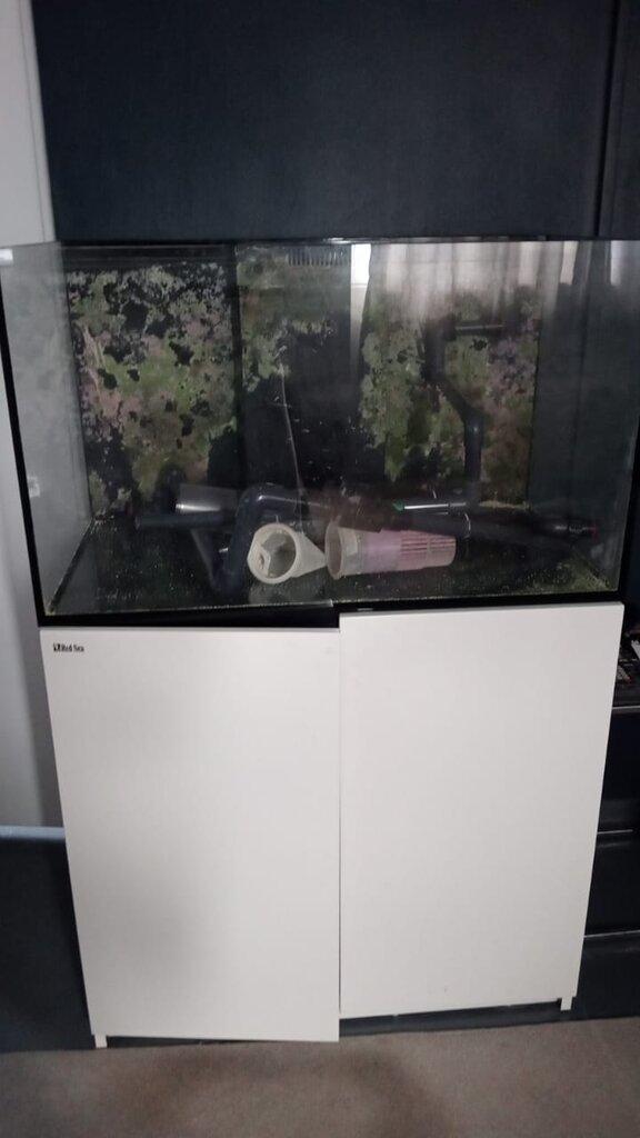 [FS] Red Sea Reefer 250 v3 For Sale Durban [Expired] Marine