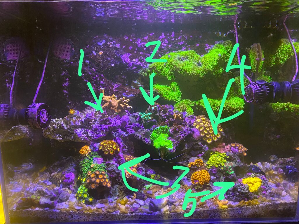 [FS] Tank breakdown Marine Aquariums South Africa